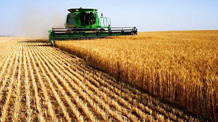 Raport al Comisiei Europene: România, cele mai mari pierderi agricole din UE