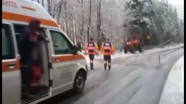 Drumuri înzăpezite în Maramureş. O ambulanţă în misiune, blocată din cauza unui copac care a căzut pe drum VIDEO