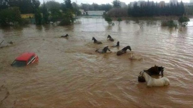 Inundaţii catastrofale în Spania. O româncă de 26 de ani şi-a pierdut viaţa