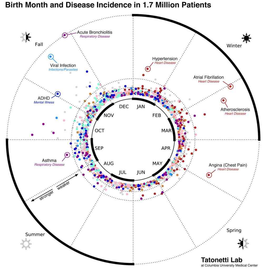 Harta bolilor. Luna în care ești născut influențează boala cu care te vei confrunta