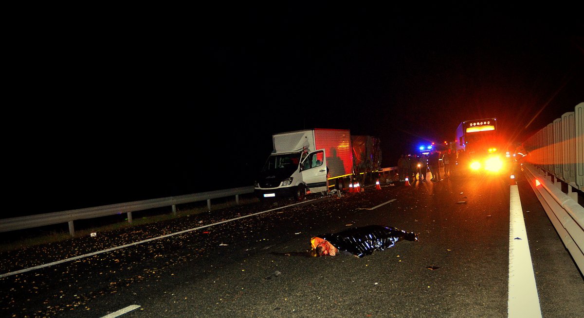 Mort în accident pe Autostrada Arad - Timișoara (Foto - Video)