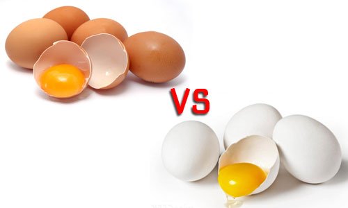 Care este diferenţa între cele ouăle albe şi cele maronii