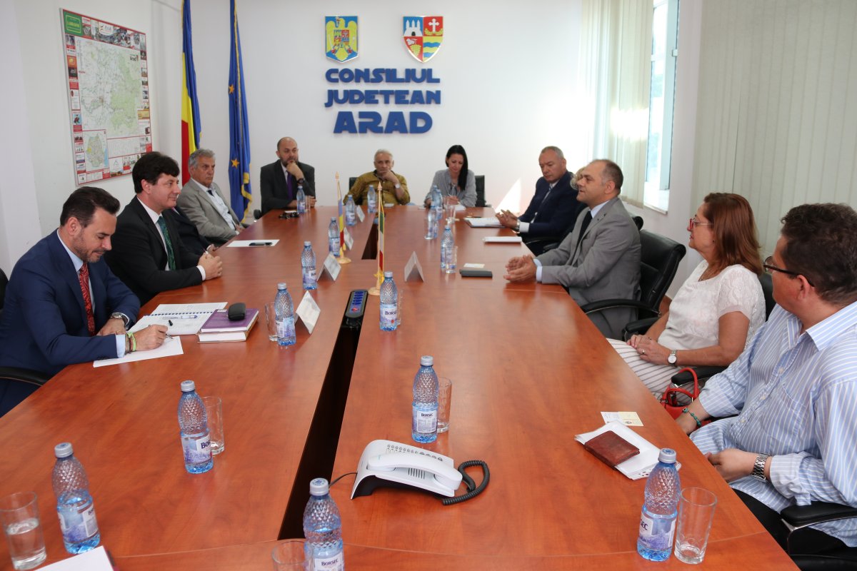 Conducerea administrativă a Aradului s-a consultat cu investitorii italieni despre priorităţile judeţului şi ale municipiului