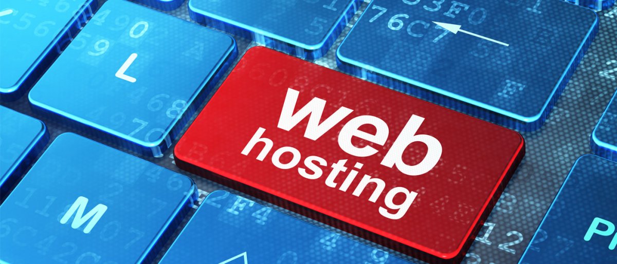 Serviciul de web hosting, primul pas către lansarea unei afaceri online de succes