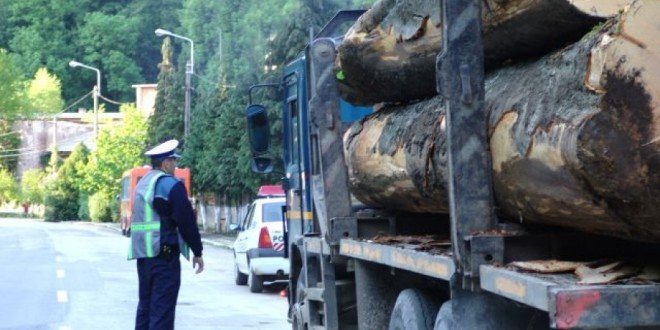 Transporturi ilegale de lemne, depistate de polițiștii arădeni