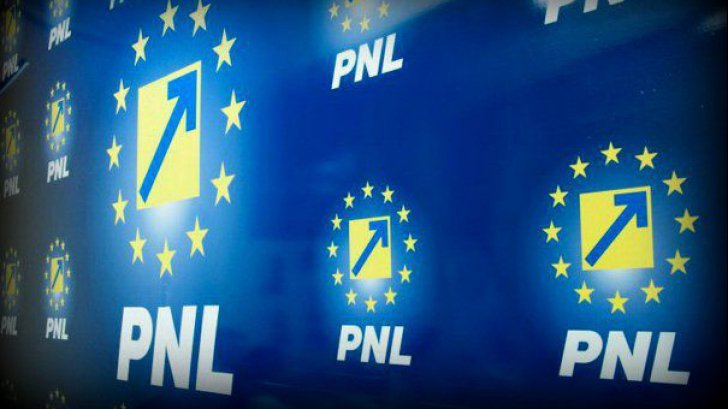 Ionel Dancă: PNL este pregătit să preia guvernarea