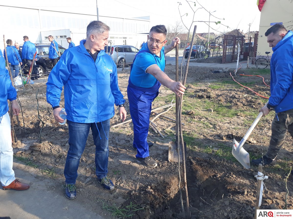 120 de tei plantați de ALDE la inițiativa lui Petre Botiș