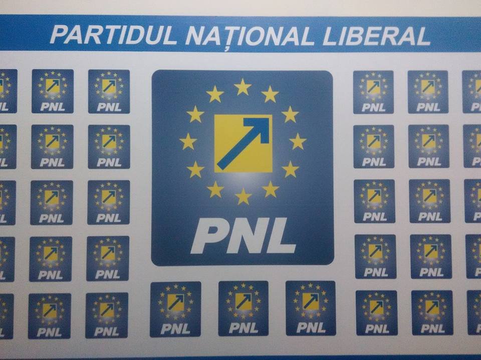 PNL Arad a votat adoptarea criteriilor de integritate