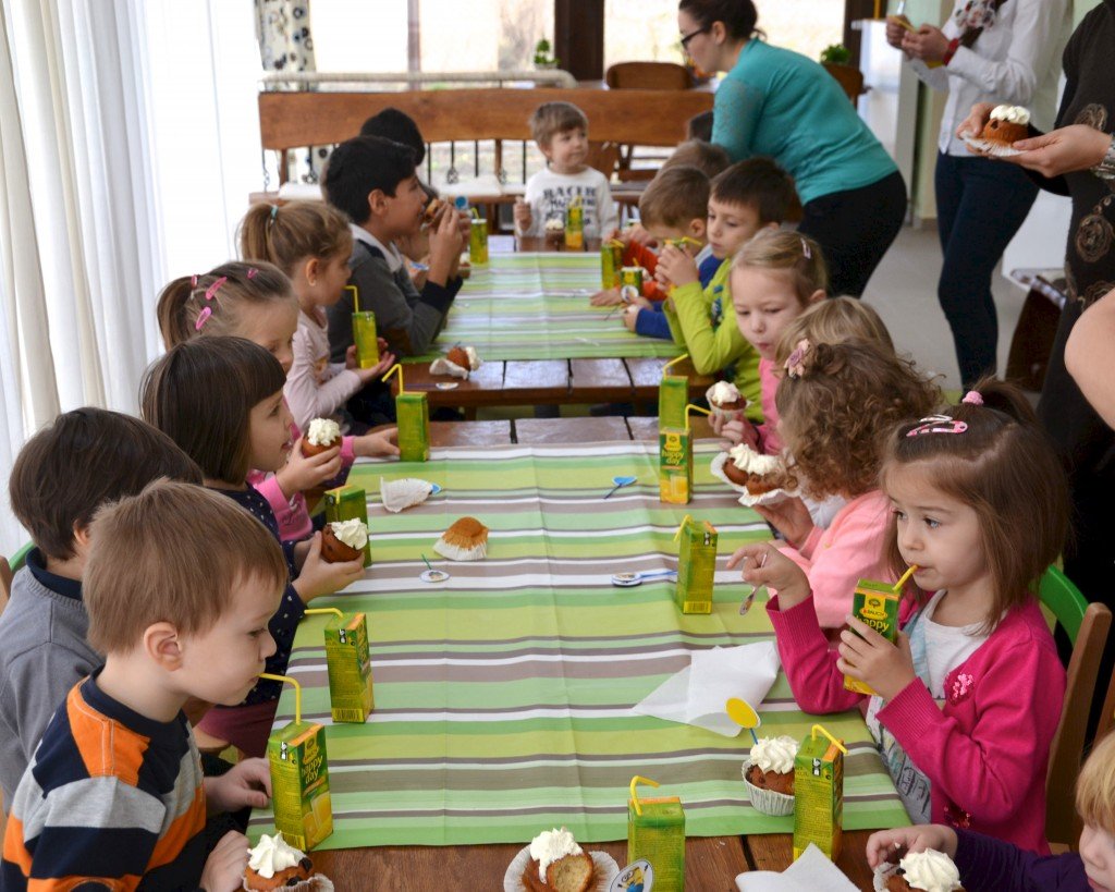 Grădinița cu program prelungit nr. 1 Arad, organizează concurs pentru post de bucătar și îngrijitor copii