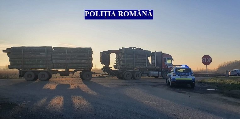 Transport ilegal de material lemnos