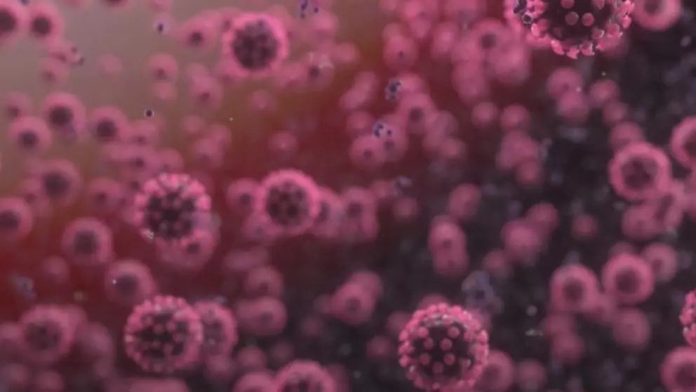 O nouă tulpină de coronavirus a fost depistată - Provine dintr-o zonă din Franța