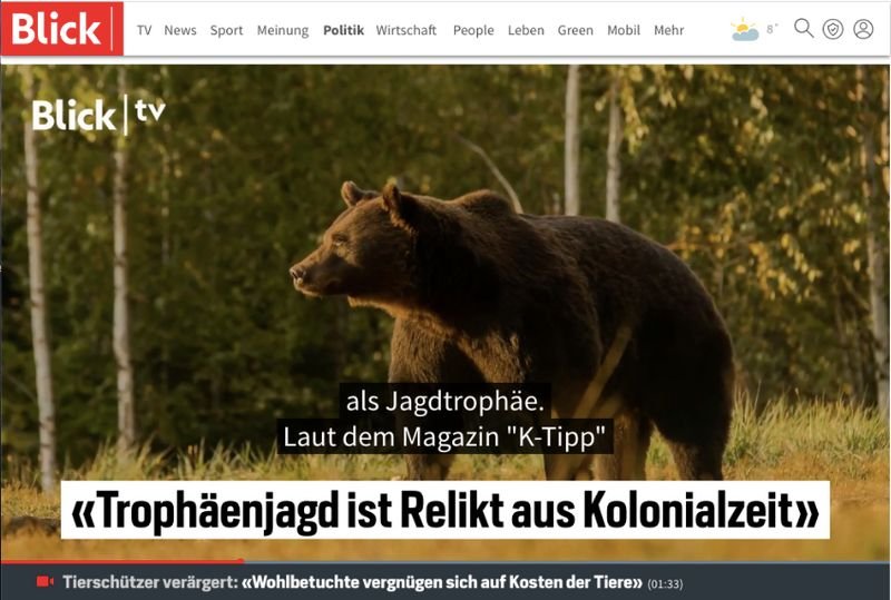 Presa străină reacţionează după împuşcarea ursului Arthur: „Ai bani, cumperi cel mai mare urs brun din Europa”