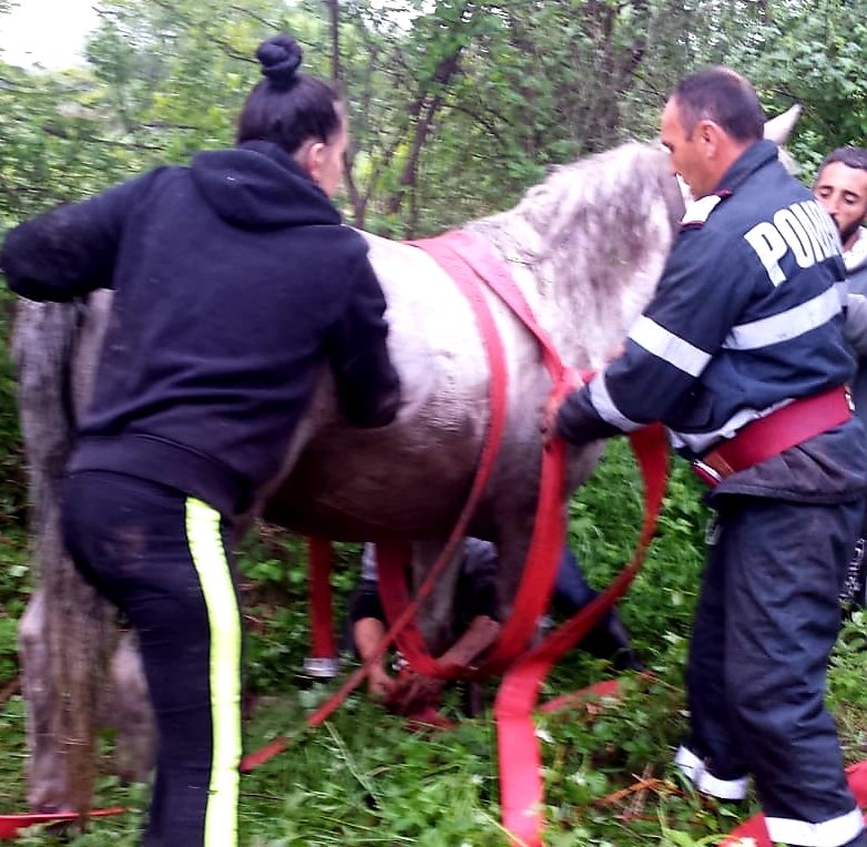 Pompierii sebișeni au salvat un cal căzut într-o fântână la Dieci