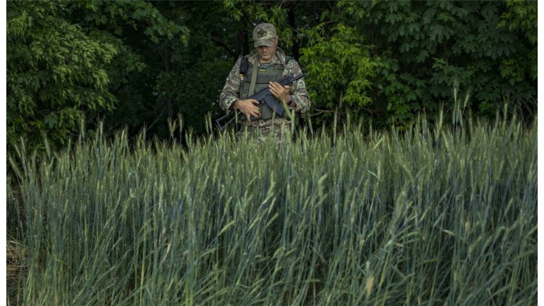 Războiul Rusiei va priva lumea de trei recolte de grâu din Ucraina
