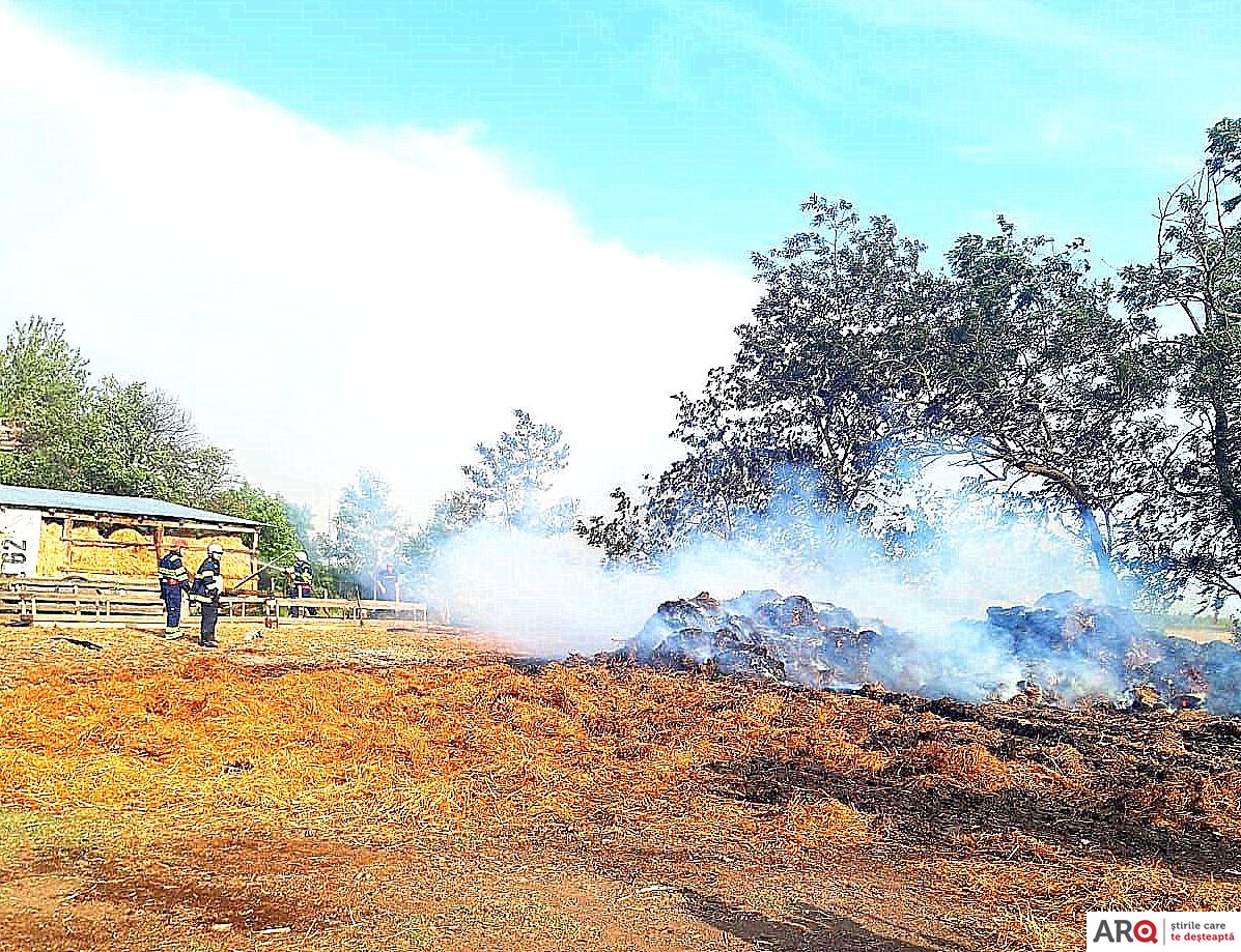 ISU Arad intervine simultan la 4 (patru) incendii de vegetație uscată