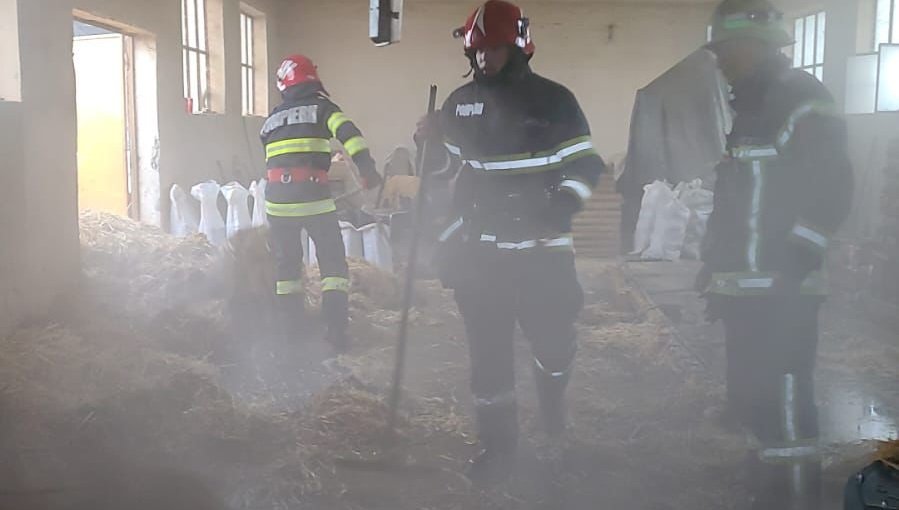Incendiu izbucnit în hala de producție a unei fabrici de peleți din localitatea Secusigiu