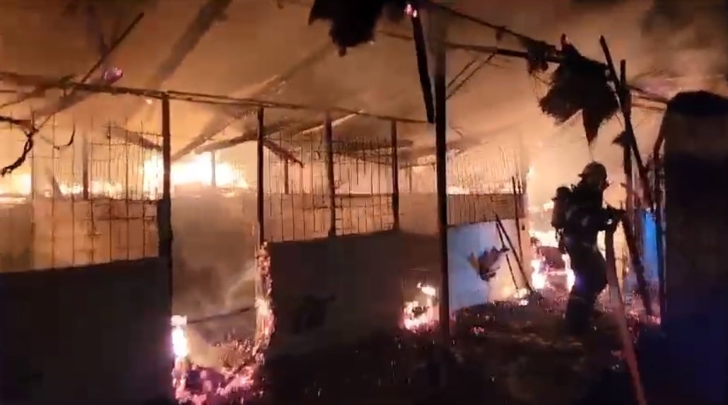 Incendiu devastator la o gospodărie din Peregu Mic