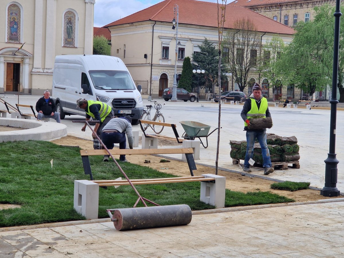(FOTO) Se instalează gazonul în Piața Catedralei