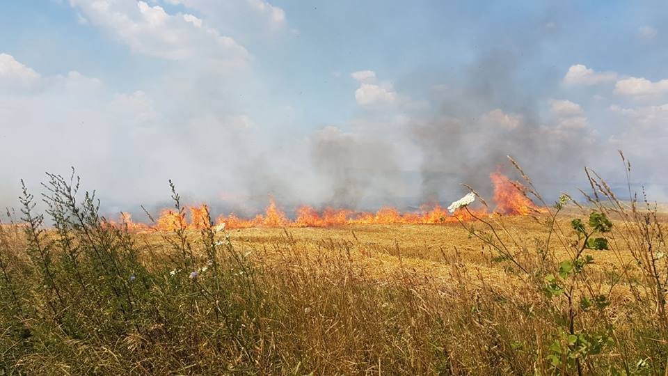 Sesizare penală pentru incendierea unor terenuri în zona Bârzava-Lalașinț