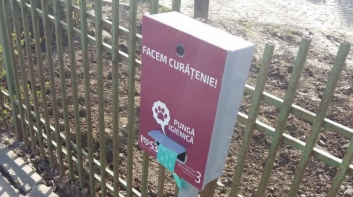 Soluția Primăriei pentru excrementele de pe stradă: automate cu pungi igienice