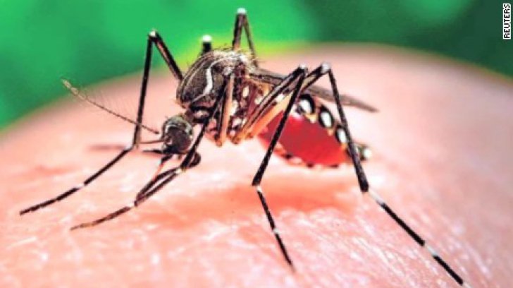 Virusul Zika a fost confirmat în România. Primul caz, o tânără de 27 de ani. Starea sa, stabilă