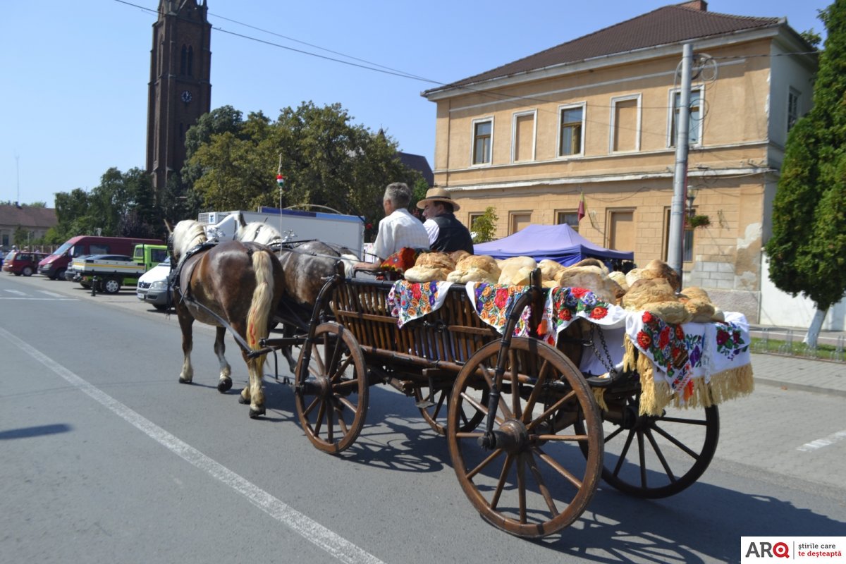 Praznicul de Pită Nouă de la Pecica - o sărbătoare deosebită