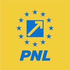 Anunț mandatar financiar PNL Arad