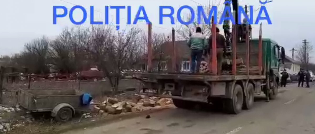 Depozit ilegal de lemne, depistat la Macea - VIDEO