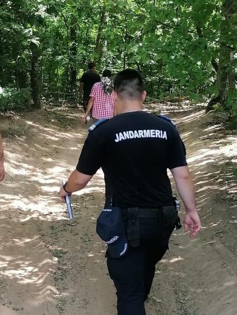 Jandarmii arădeni, cu sprijinul Ocolului Silvic Valea Mare, au prins doi bărbați care au tăiat ilegal mai mulți arbori (FOTO)