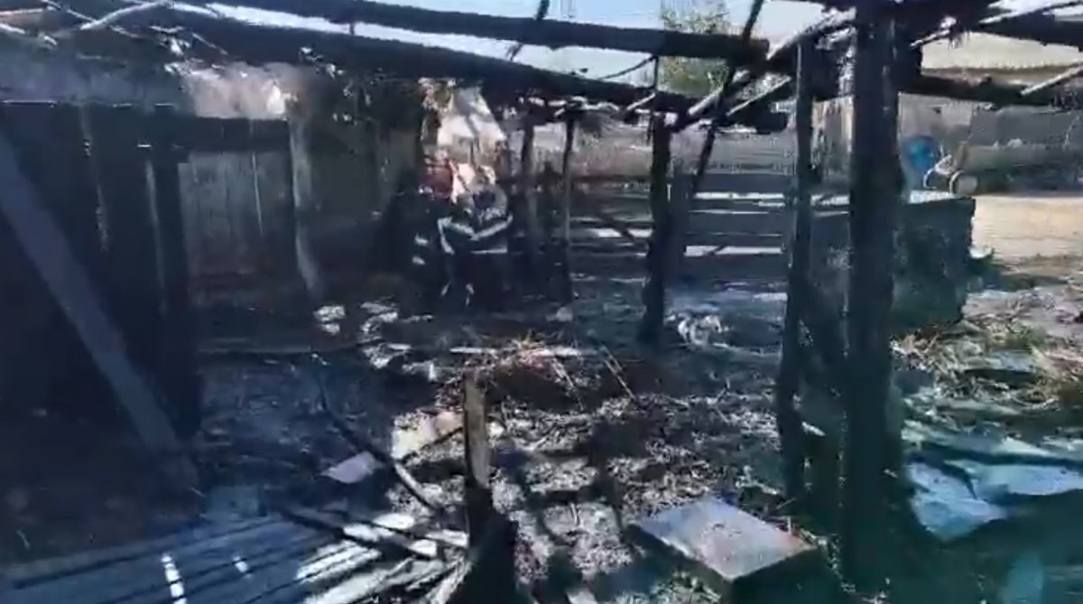 Incendiu izbucnit la un adăpost de animale din localitatea Vladimirescu