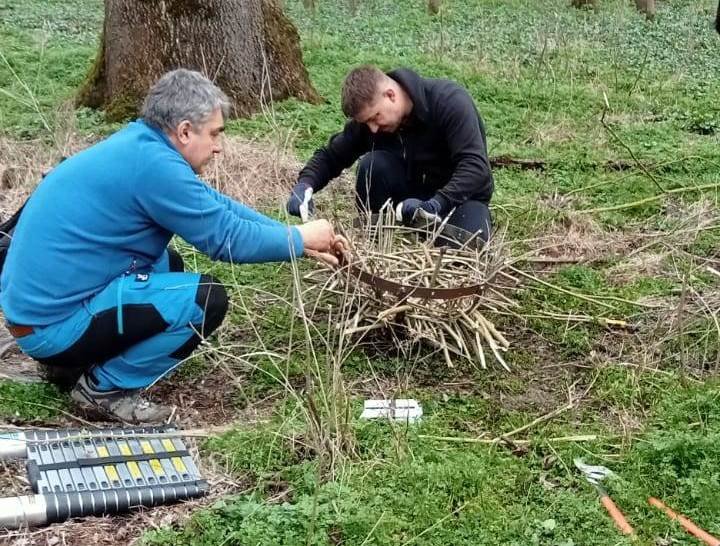 Cuiburi artificiale pentru păsări montate în Parcul Natural Lunca Mureșului (FOTO)