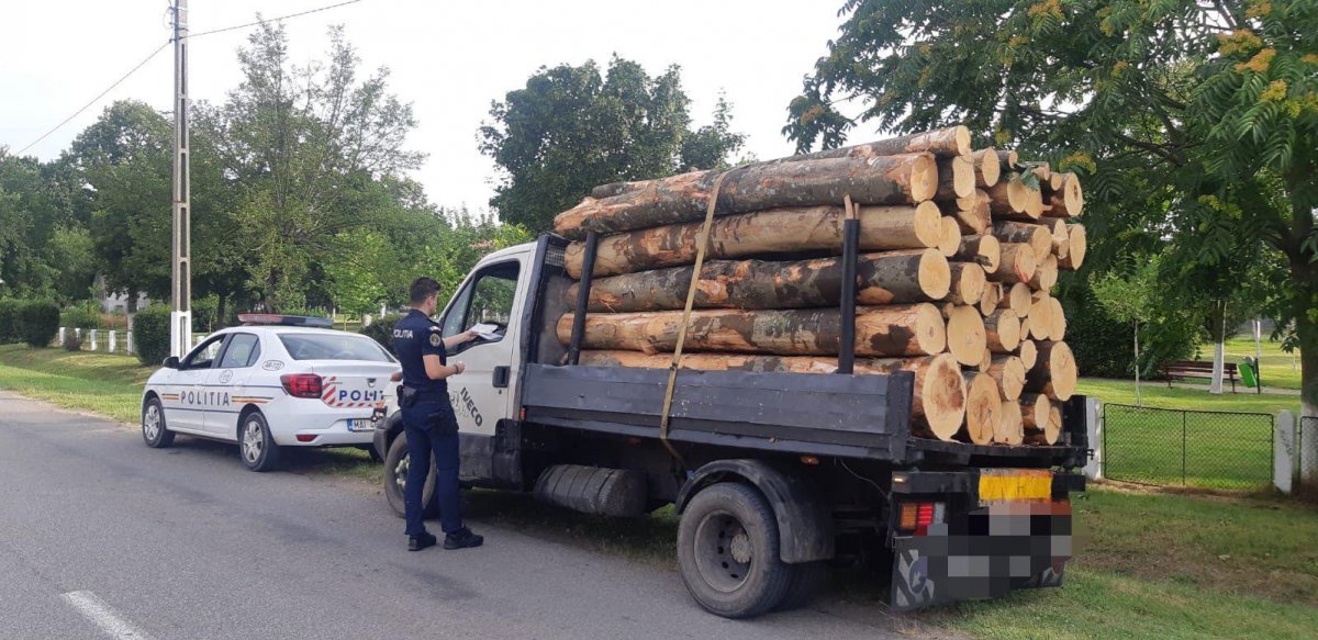 Duminica acțiunilor la Sântana