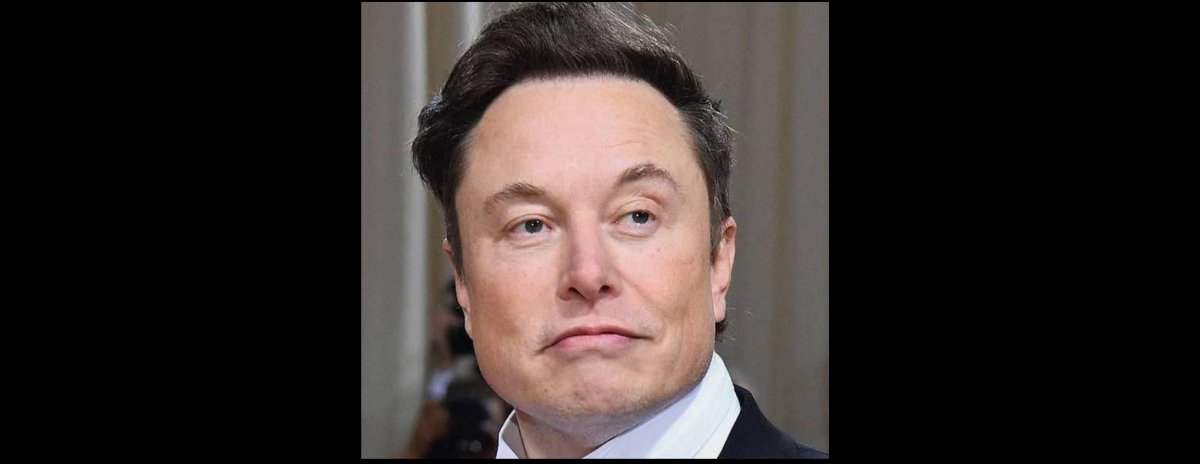 Drama unui tată: fiul lui Elon Musk ucis de VIRUSUL wok