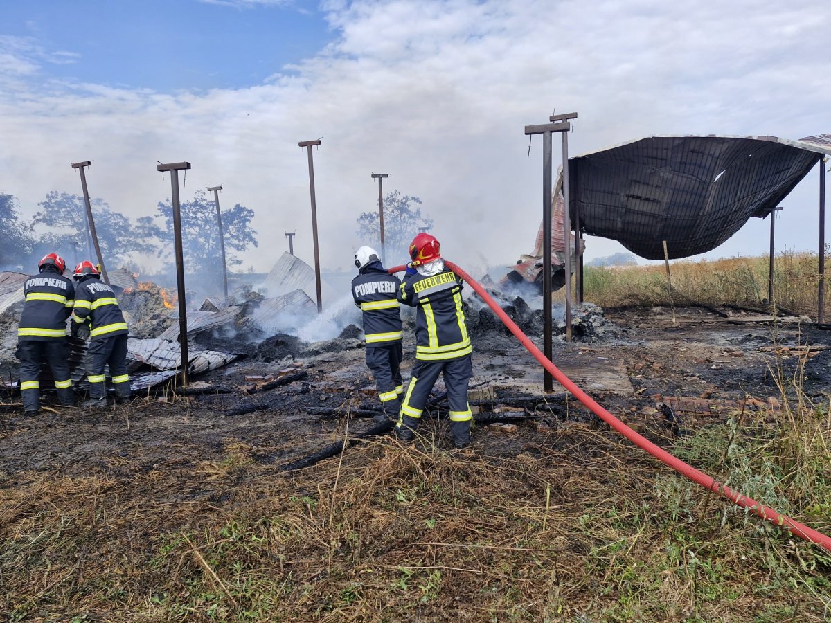  Stingerea unui incendiu ce s-a manifestat la aproximativ 300 baloti de paie la o fermă în zona localității Chișineu Criș