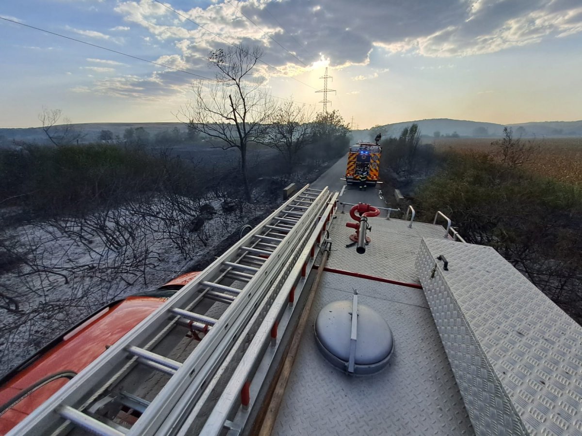 Incendii de vegetație în tot județul Arad