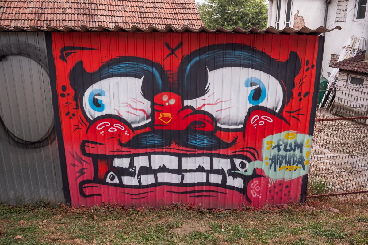 10 murale noi despre relația dintre oameni și inteligența artificială au fost finalizate la Arad. Printre artiștii care le-au semnat se numără Recis, Ocu, IRLO, Homeboy, ThisLuxEasy și Fum Armada