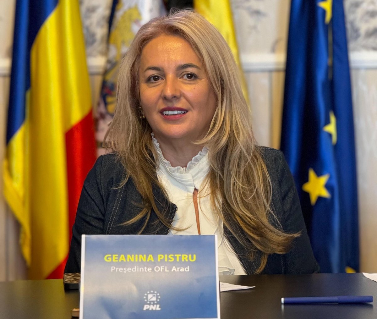 Geanina Pistru anunță lansarea ghidului privind sesizarea faptelor de violență și de hărțuire sexuală