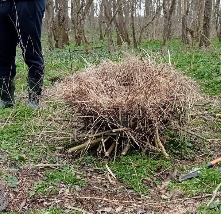 120 de Cuiburi Artificiale Montate în Parcul Natural Lunca Mureșului pentru Protejarea Păsărilor