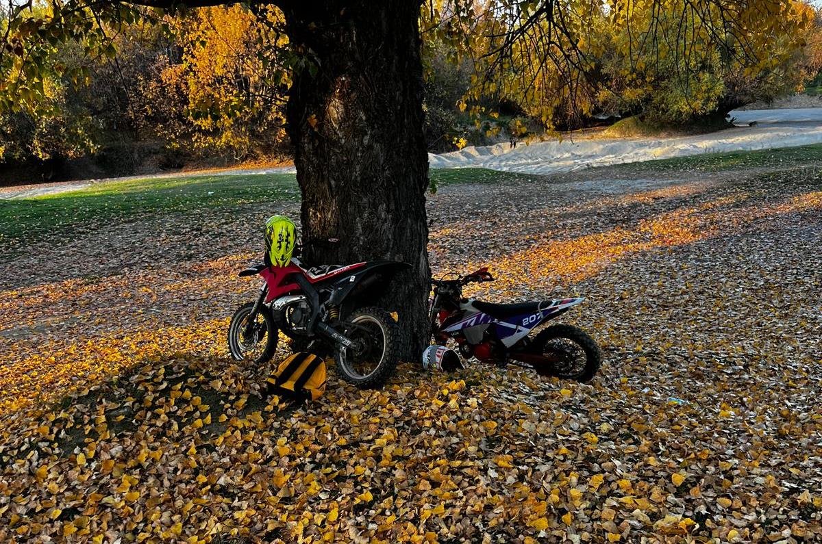 Care sunt motivele pentru care rangerii Parcului Natural Lunca Mureșului au aplicat amenzi de 6.500 de lei