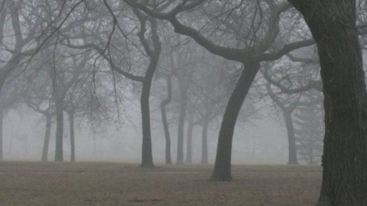 Cod galben de vreme rea! Se întâmplă acum